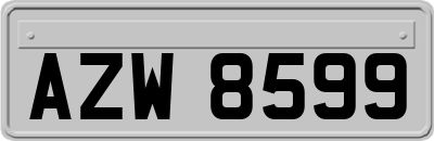 AZW8599