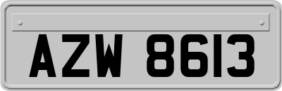 AZW8613