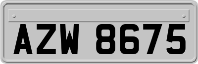 AZW8675
