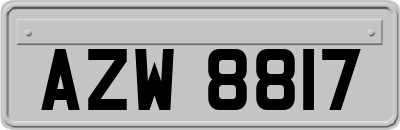 AZW8817