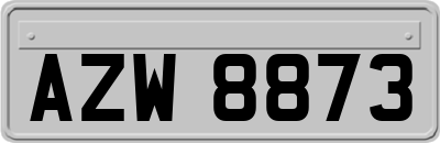 AZW8873