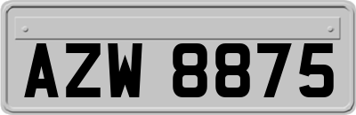 AZW8875