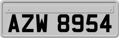 AZW8954