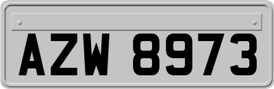 AZW8973