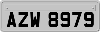 AZW8979