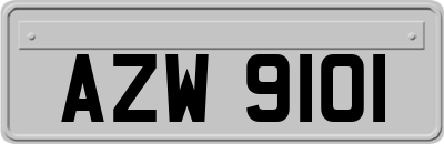 AZW9101