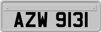 AZW9131