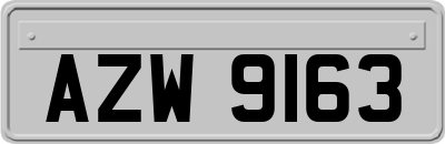AZW9163