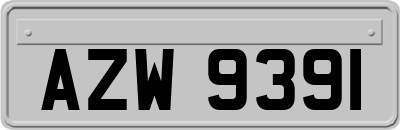 AZW9391