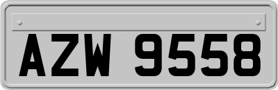 AZW9558