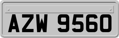 AZW9560