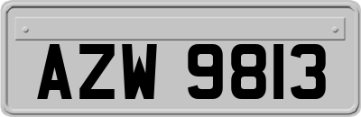 AZW9813
