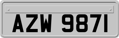 AZW9871