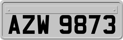 AZW9873