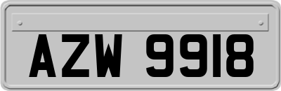 AZW9918