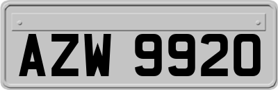 AZW9920