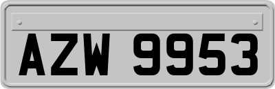 AZW9953