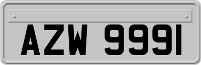 AZW9991
