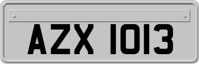 AZX1013