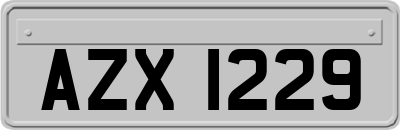 AZX1229