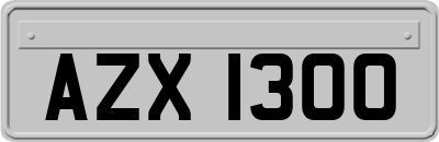 AZX1300