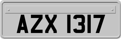 AZX1317