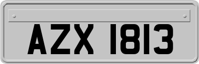 AZX1813