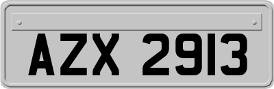 AZX2913