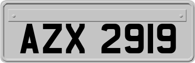 AZX2919