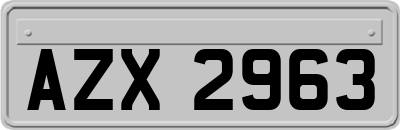 AZX2963
