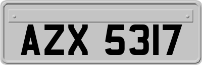 AZX5317