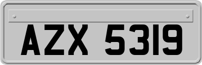 AZX5319