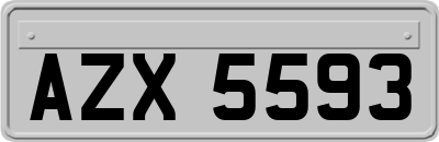 AZX5593