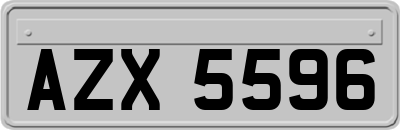 AZX5596