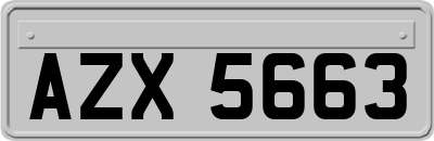 AZX5663