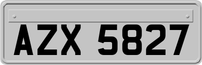 AZX5827