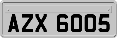 AZX6005