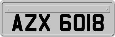 AZX6018