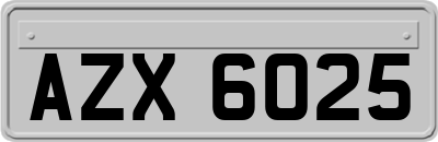 AZX6025