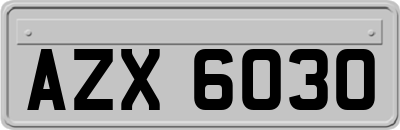AZX6030