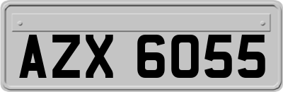 AZX6055