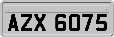 AZX6075