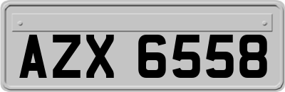 AZX6558