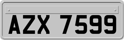AZX7599