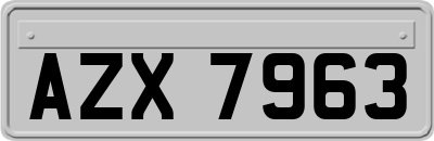 AZX7963