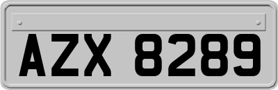 AZX8289