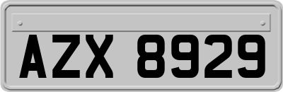 AZX8929