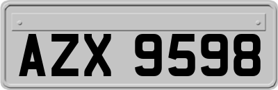 AZX9598