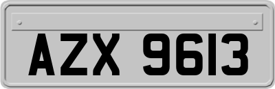 AZX9613