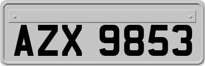 AZX9853